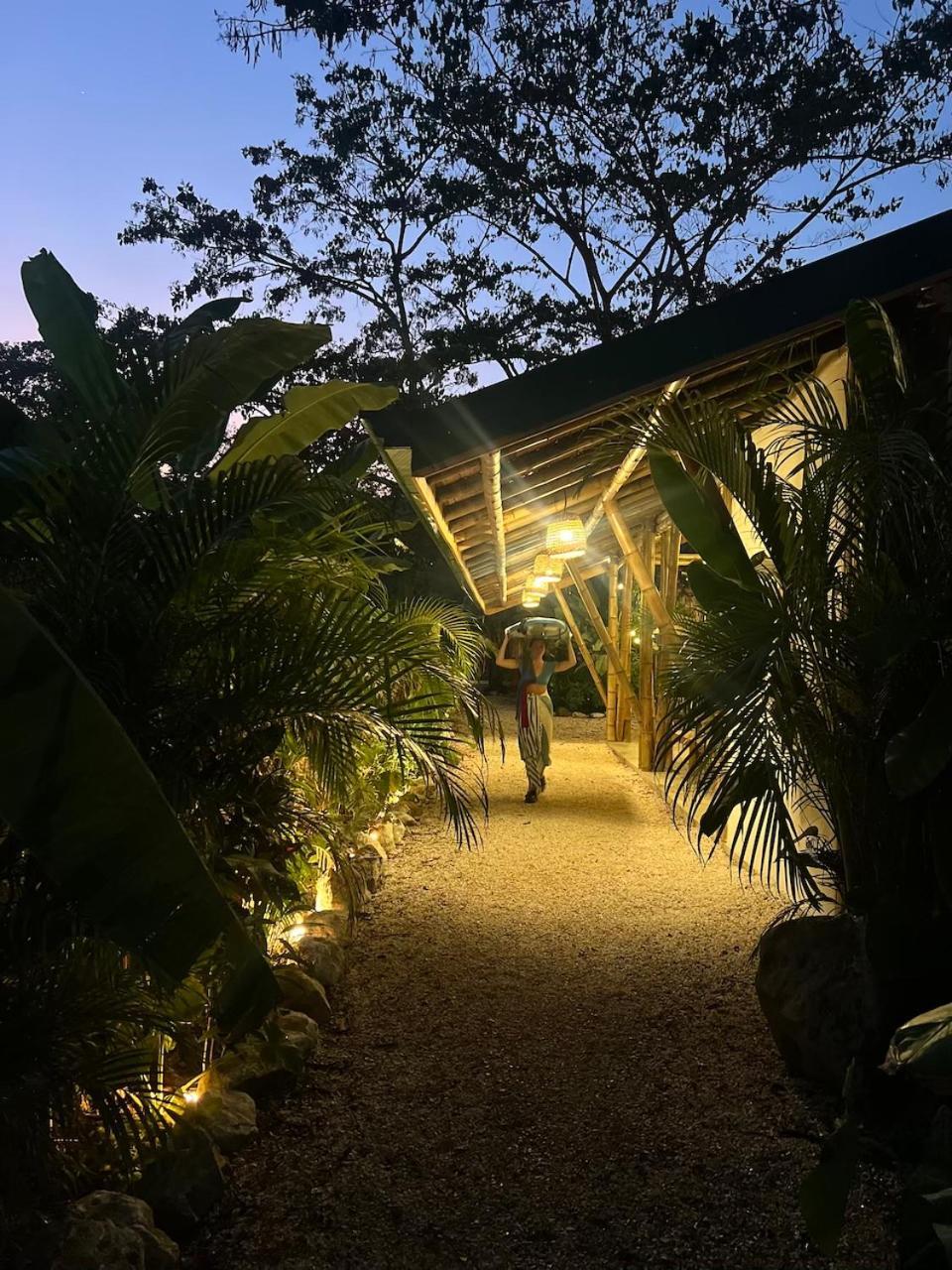 Dream Surf House Santa Teresa Hostel Playa Hermosa Cobano Exterior photo