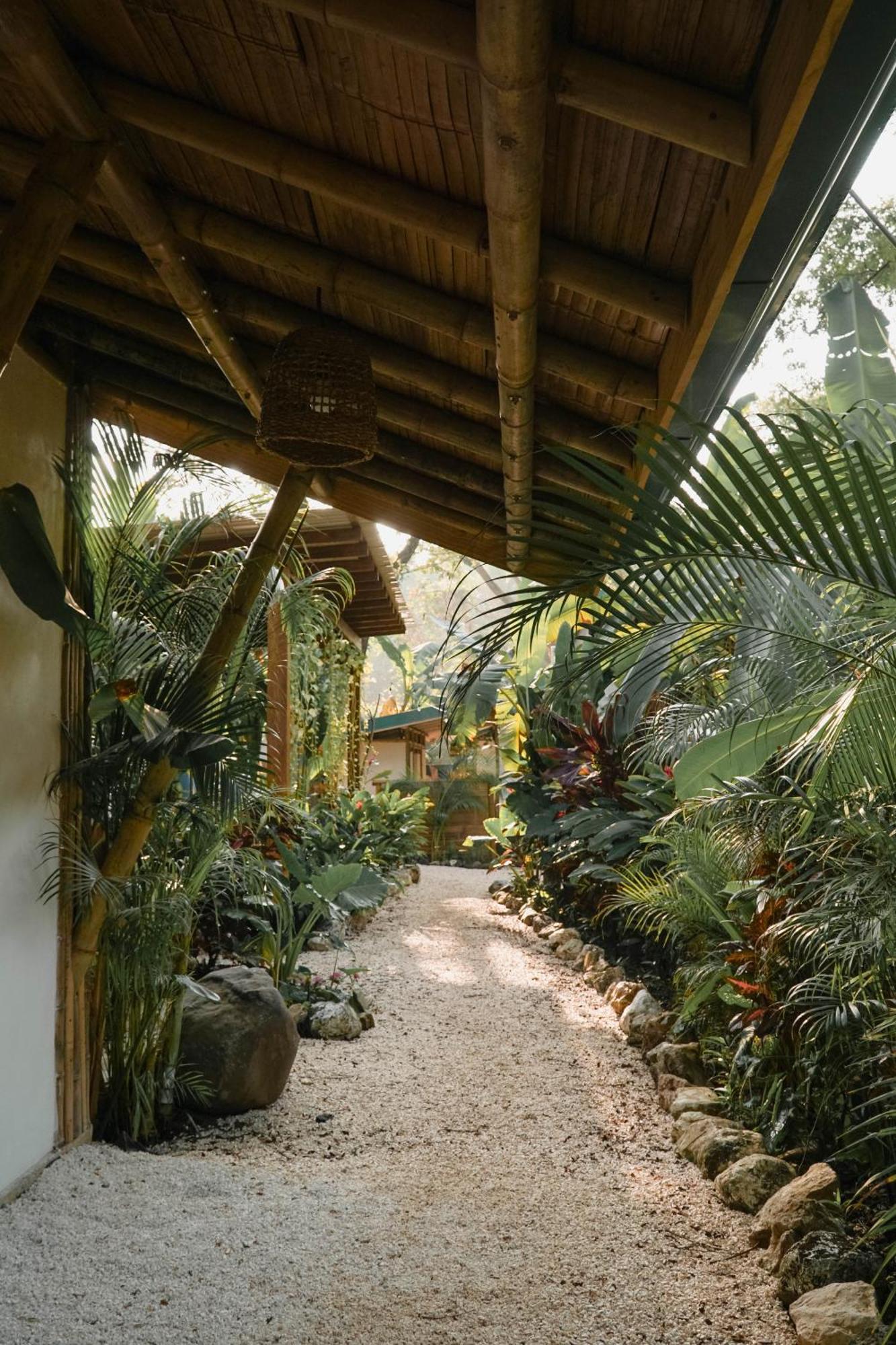 Dream Surf House Santa Teresa Hostel Playa Hermosa Cobano Exterior photo