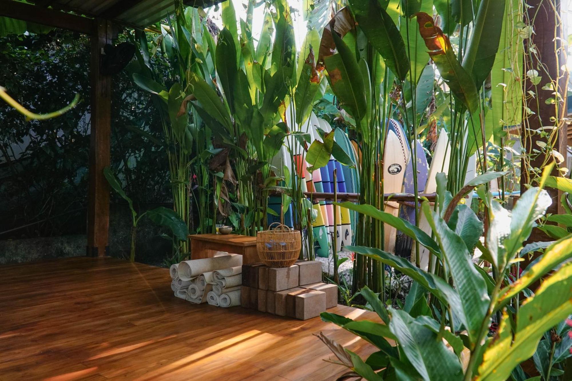 Dream Surf House Santa Teresa Hostel Playa Hermosa Cobano Exterior photo