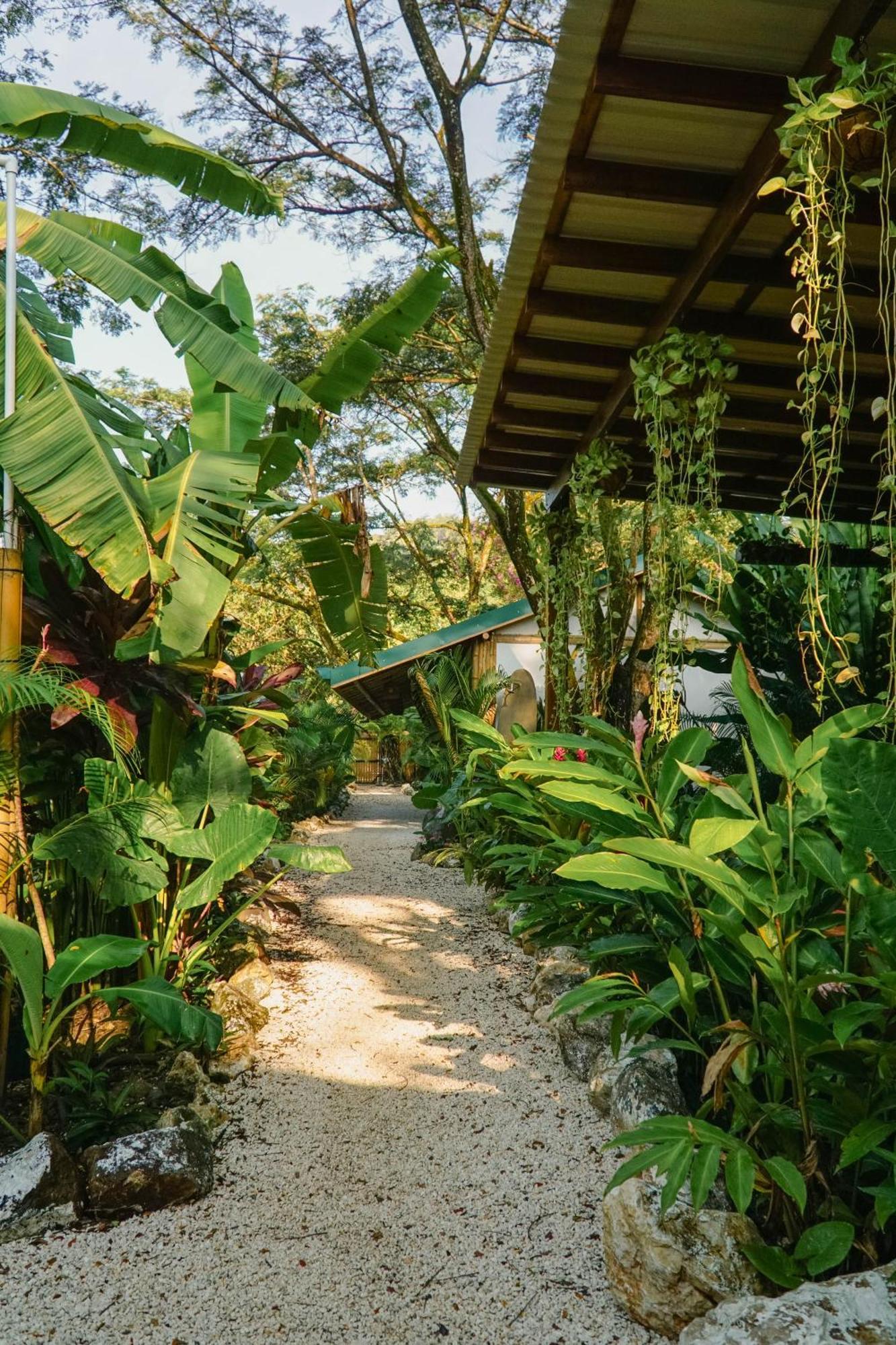 Dream Surf House Santa Teresa Hostel Playa Hermosa Cobano Exterior photo