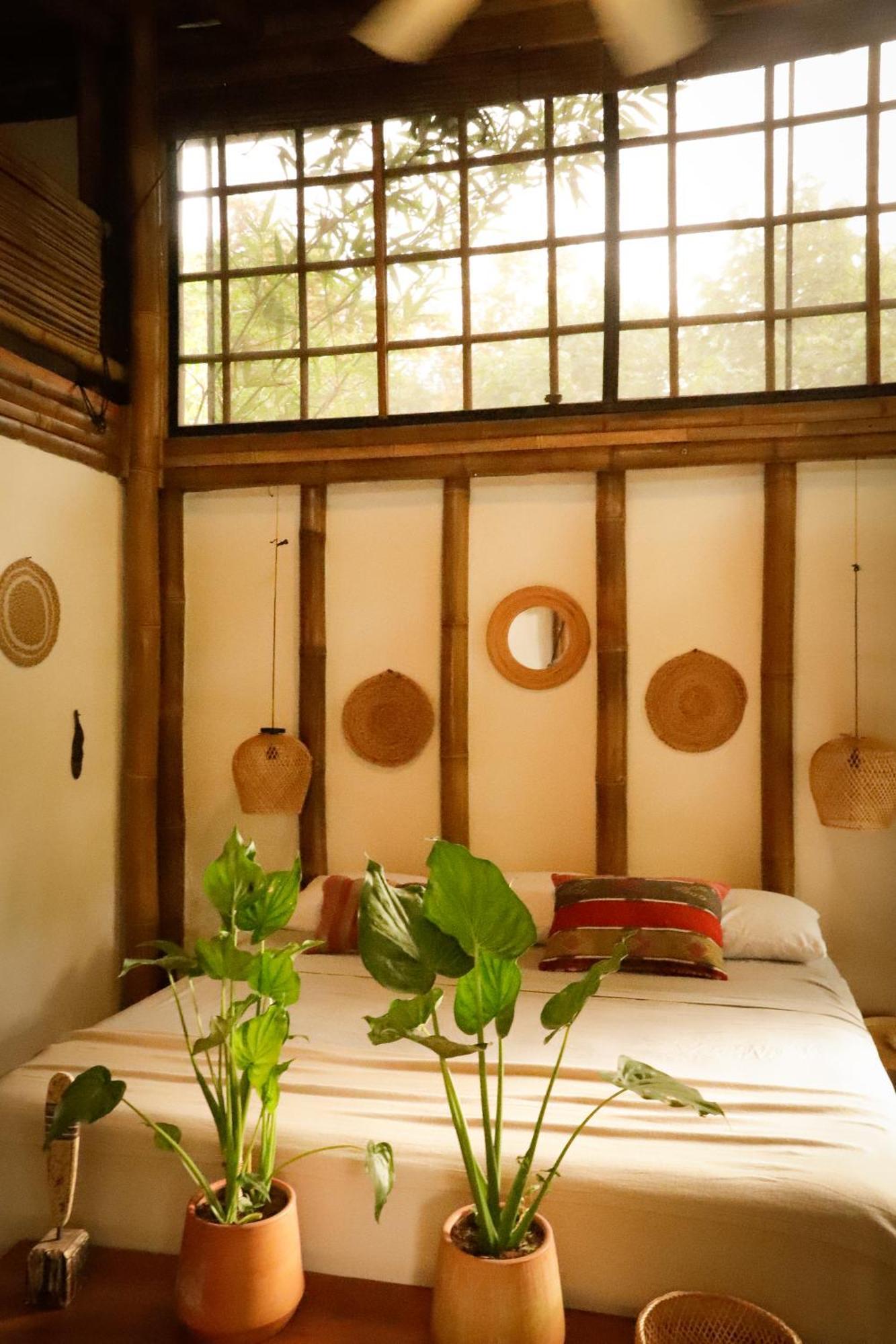 Dream Surf House Santa Teresa Hostel Playa Hermosa Cobano Exterior photo