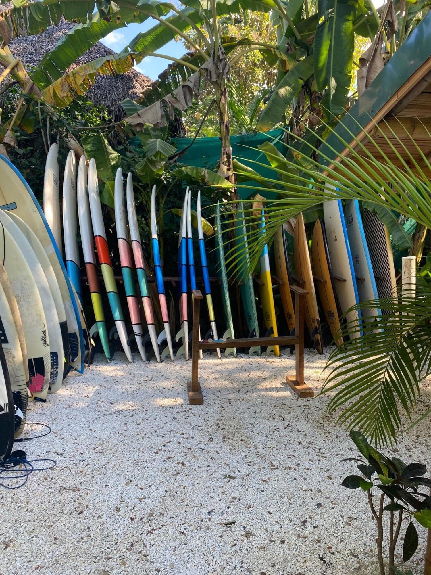 Dream Surf House Santa Teresa Hostel Playa Hermosa Cobano Exterior photo